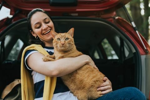 אישה מחזיקה חתול במכונית