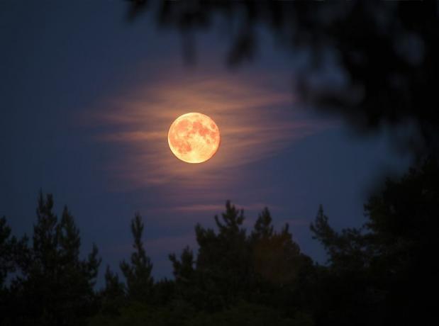 מהו ירח של צייד? הסיפור המסודר מאחורי הירח המלא של אוקטובר