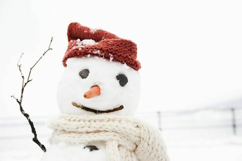 איש שלג חובש כובע וצעיף עם אף גזר וזרועות מקל