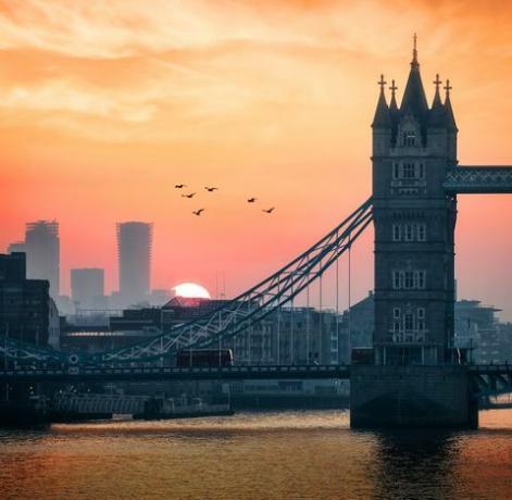 תקריב של גשר המגדל והנוף העירוני של לונדון, בריטניה, בזמן הזריחה המוקדמת