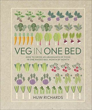 ירקות במיטה אחת: איך לגדל שפע של מזון במיטה מוגבהת אחת, חודש אחר חודש
