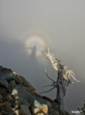 ספקטרום שבור שנראה מעל הפארק הלאומי הר גשום יותר