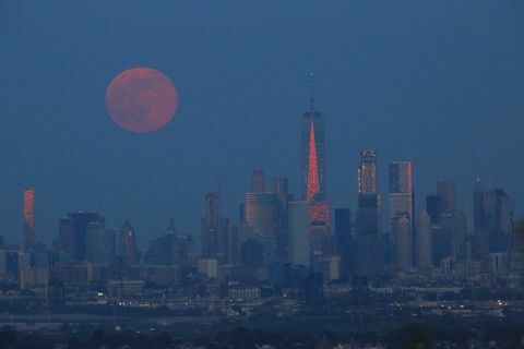 ירח תות עולה מעל העיר ניו יורק