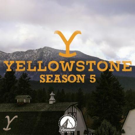 הכרזת רשת Yellowstone עונה 5