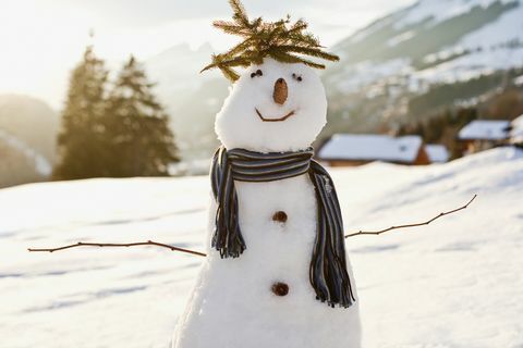 איש שלג בשדה מושלג