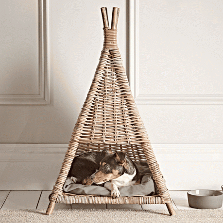 Ratan Pet Tipi