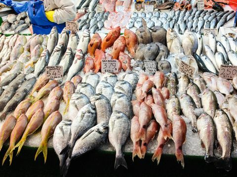 דגים טריים למכירה בשוק