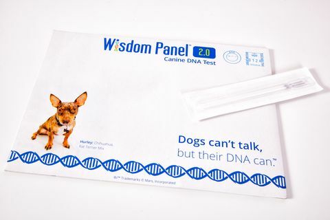 ערכת DNA של כלב פאנל חכמה, RRP 75 £