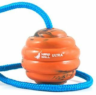 Nero Ball Ultra TM - כדור אילוף כלבים על חבל - צעצוע תרגיל ותגמול לכלבים