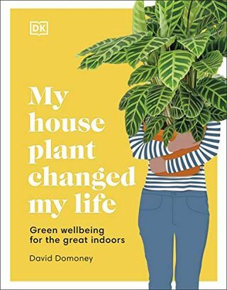 צמח הבית שלי שינה את חיי: רווחה ירוקה עבור הבית הגדול