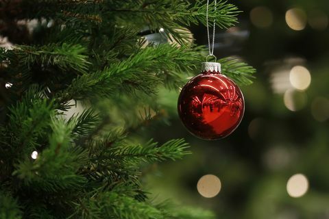 באבל חג המולד תלוי על עץ