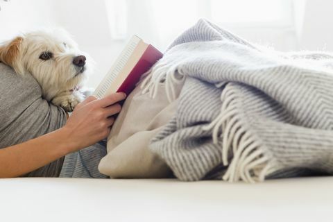 ממצאי המחקר מוצאים כי קוראי הספרים הם אנשים נחמדים יותר