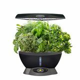 ערכת AeroGarden ועשב זרעי עשב