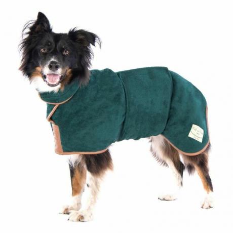 תמונה של מעיל כלב מייבש ומייבש כביסה